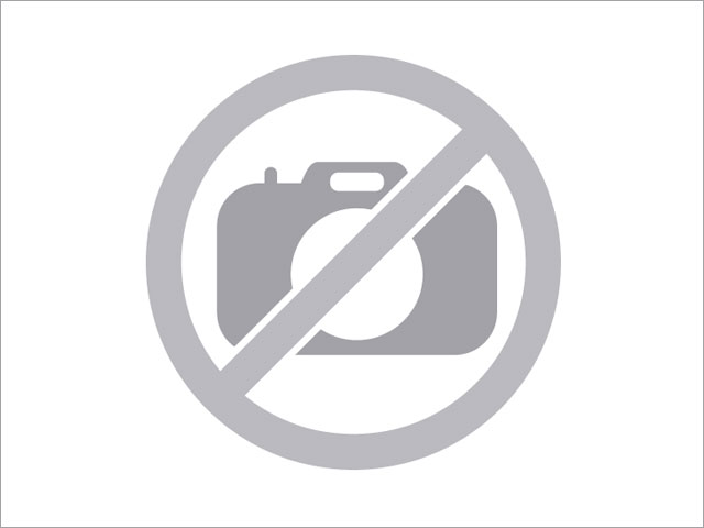 Owl Image