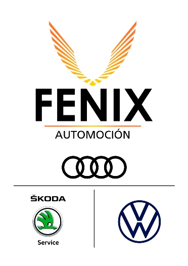 Fenix Automocion