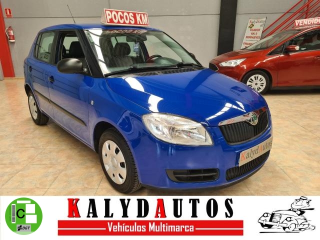 Skoda Fabia ocasión segunda mano 2009 Gasolina por 5.990€ en Murcia
