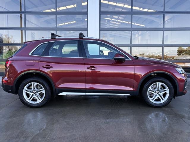 AUDI - Q5 Advanced 40 2.0 TDI 204cv Quattro-Ultra - foto 14