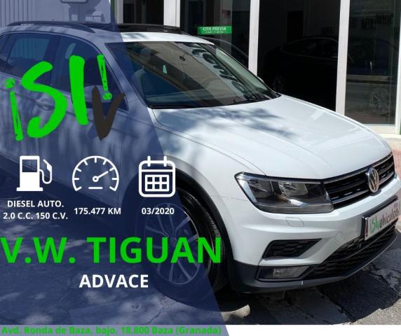VOLKSWAGEN - Tiguan - Sport 2.0 TDI 110 kW